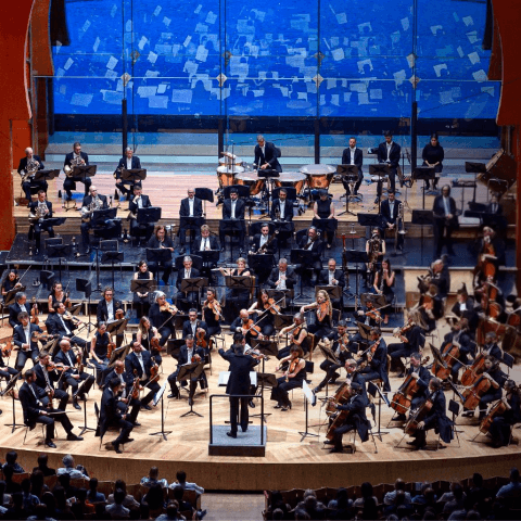 f_internacional_canarias_1