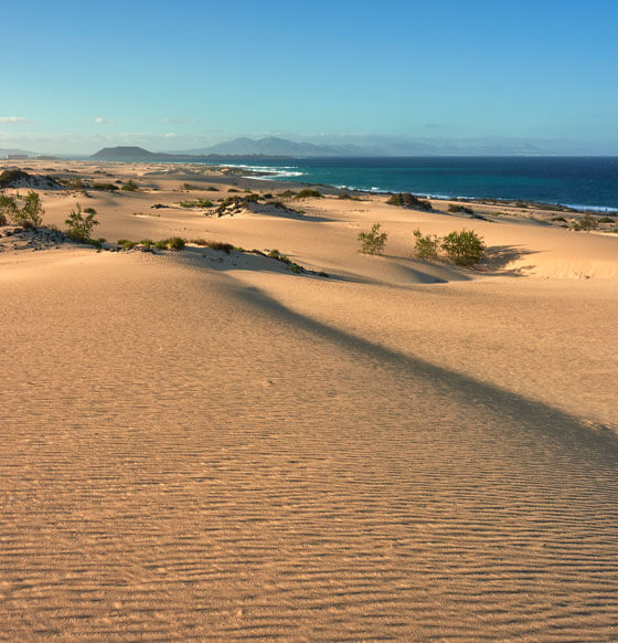 Dunas de Corralejo - listado