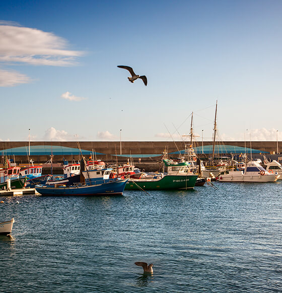 Puerto de Morrojable - listado