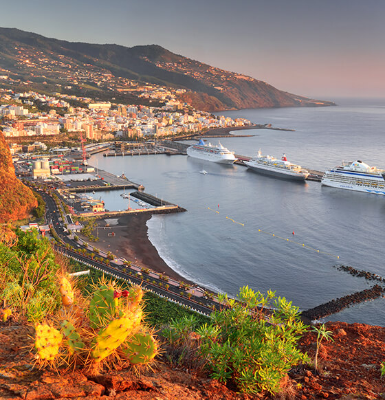 Puerto de la Palma - listado