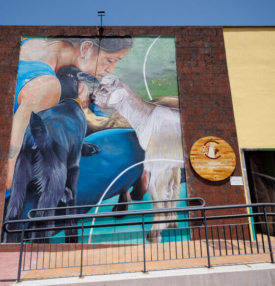 Centro de Interpretación del Queso y el Pastoreo