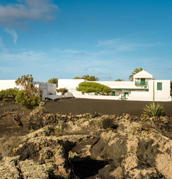 Museo del Vino El Grifo