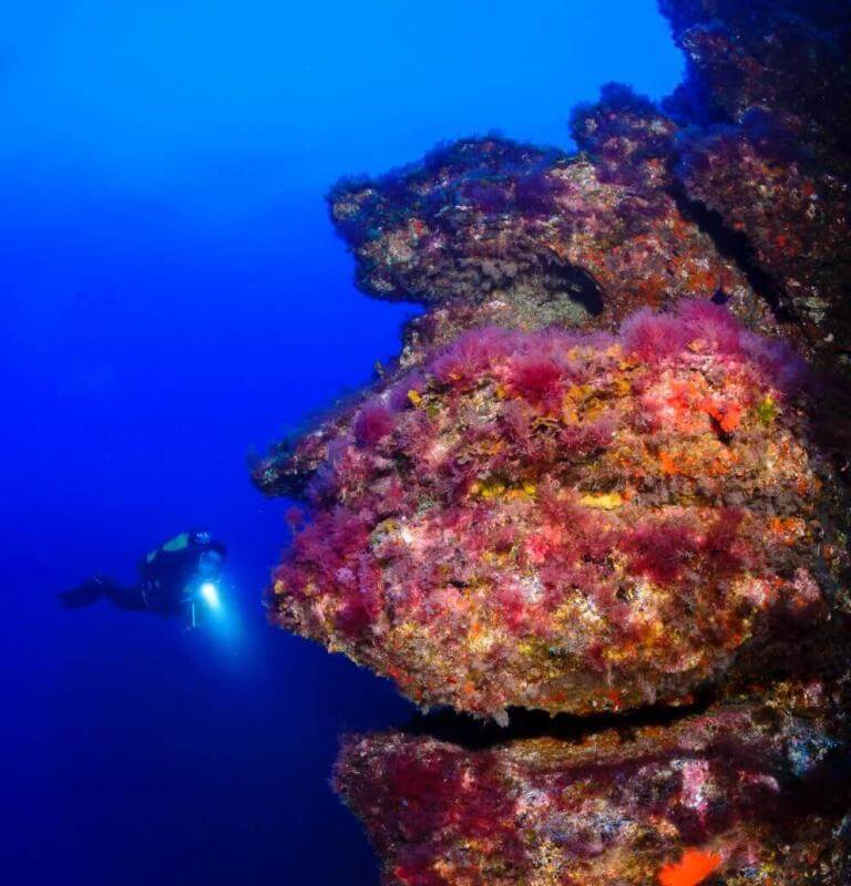 Reserva marina Punta Restinga, Mar de Las Calmas. El Hierro.