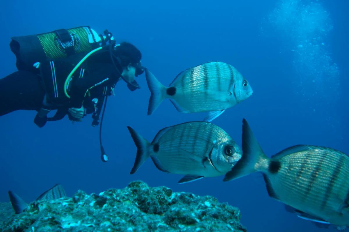 La Gomera