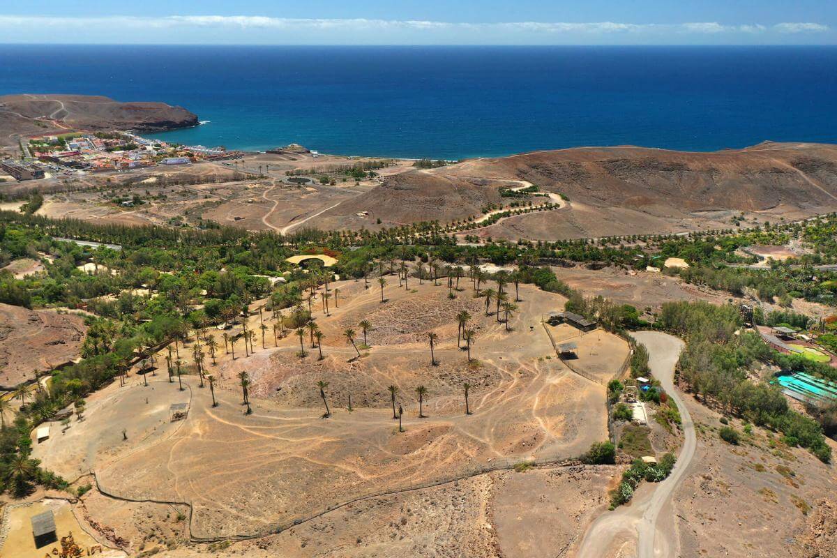 Oasis Park Fuerteventura - galeria4