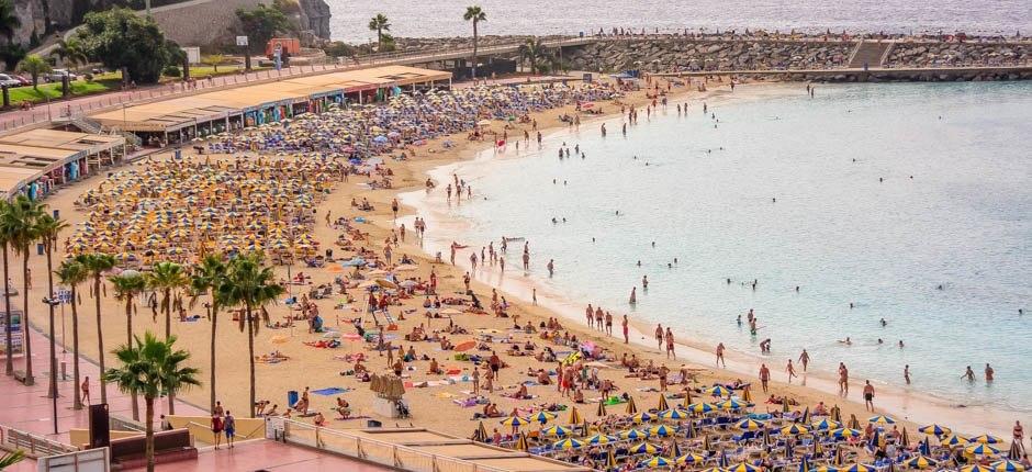 Plaża Amadores Popularne plaże na Gran Canaria