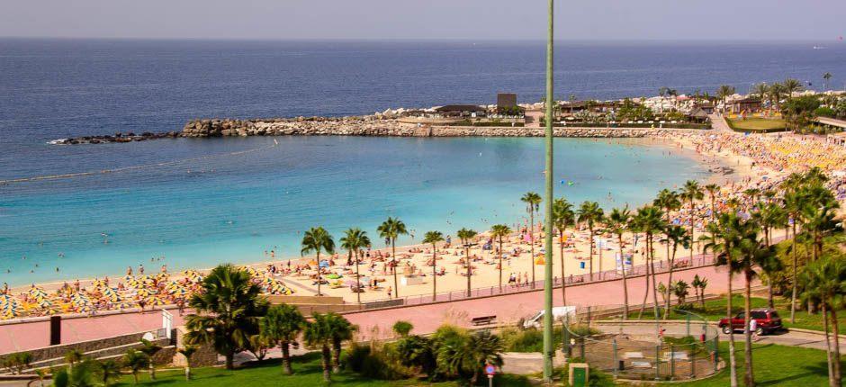 Plaża Amadores Popularne plaże na Gran Canaria