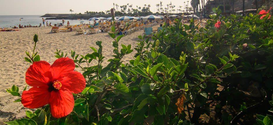 Anfi del Mar Plaże dla dzieci na Gran Canaria