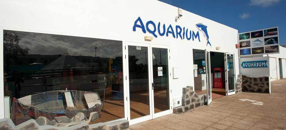 Aquarium Akwaria na Lanzarote
