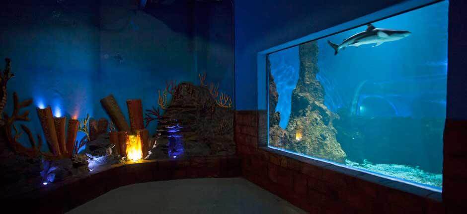 Aquarium Akwaria na Lanzarote