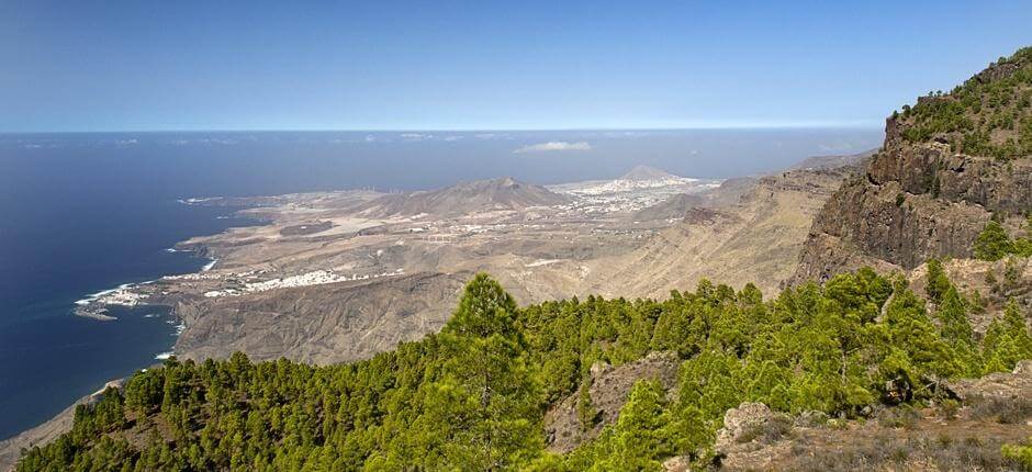 Tamadaba-Bajada de Faneque + Szlaki na Gran Canaria