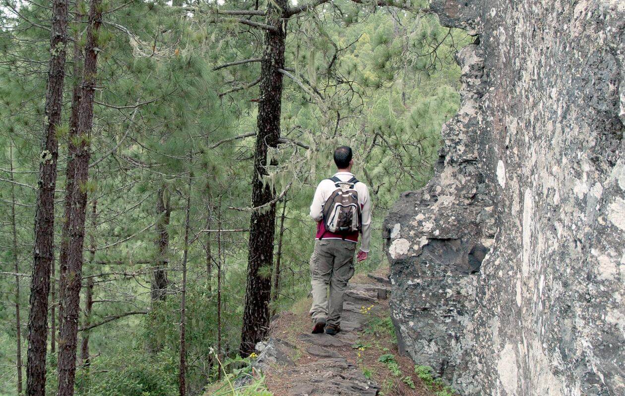 Tamadaba-Bajada de Faneque. Senderos de Gran Canaria