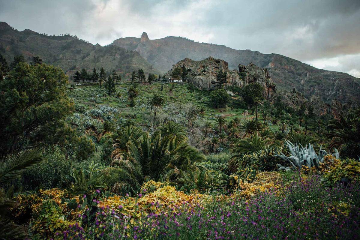 Reserva Natural Integral de Benchijigua La Gomera