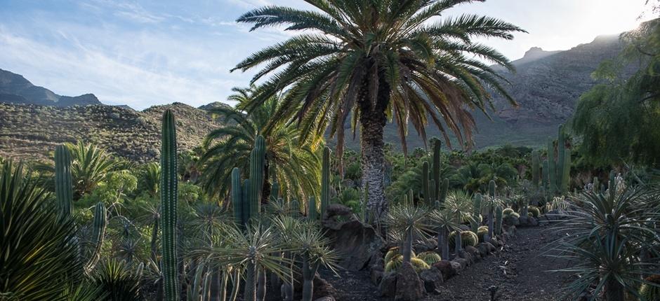 Cactualdea Park Muzea i centra turystyczne na Gran Canarii