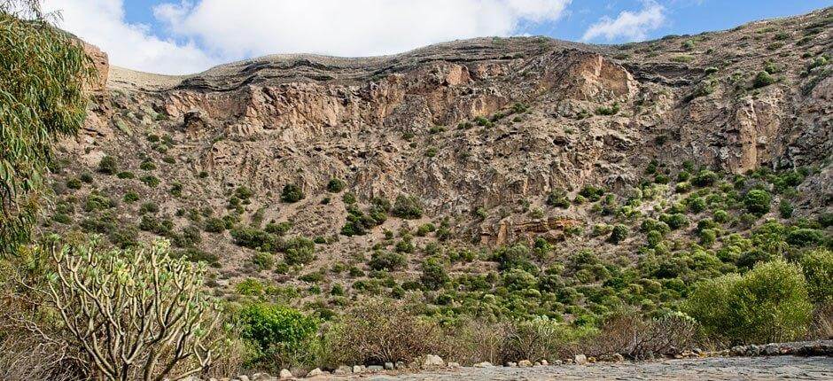 Caldera de Bandama + Szlaki na Gran Canaria