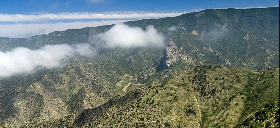 Circular de Vallehermoso, Szlaki turystyczne na wyspie La Gomera