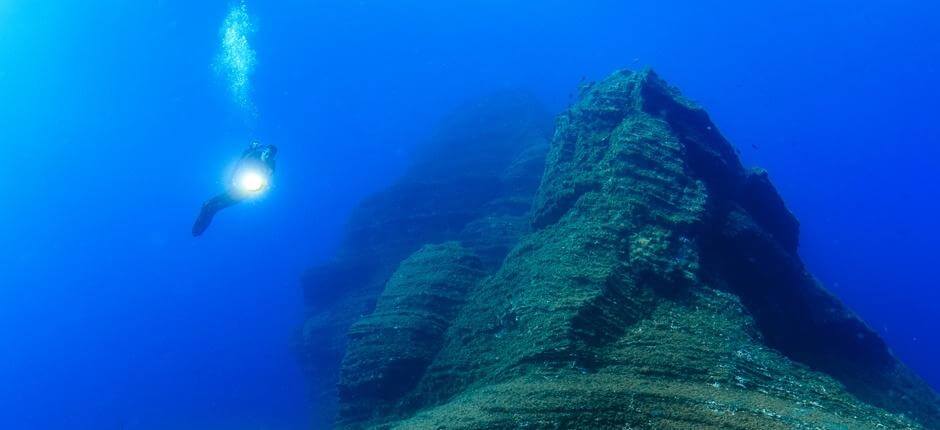 Zanurkuj w El Bajón na wyspie El Hierro