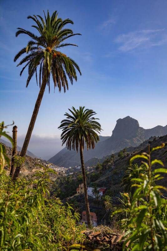 Macayo - Vallehermoso