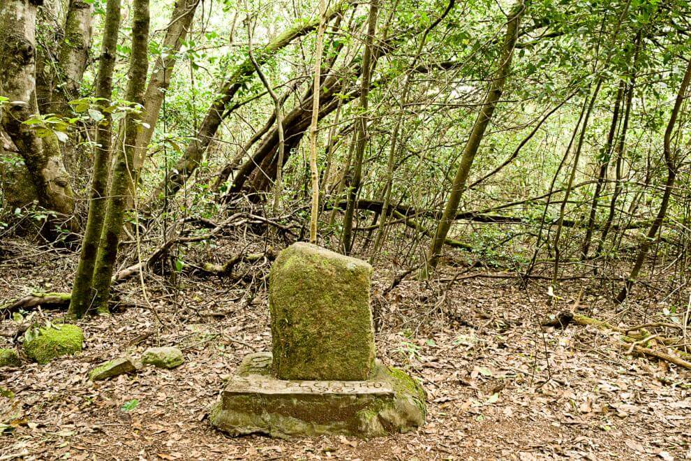 Sendero Contadero-El Cedro