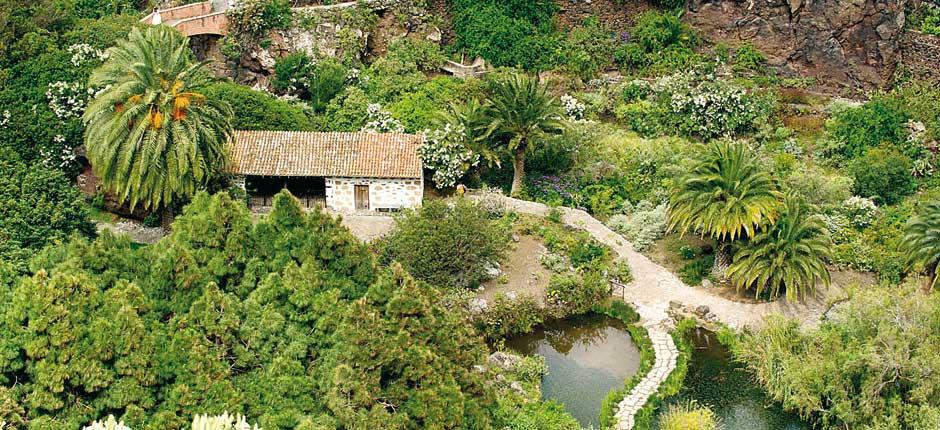 Ogród Botaniczny Viera y Clavijo Muzea i centra turystyczne na Gran Canaria