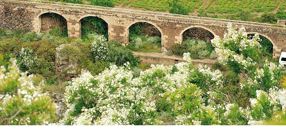 Ogród Botaniczny Viera y Clavijo Muzea i centra turystyczne na Gran Canaria