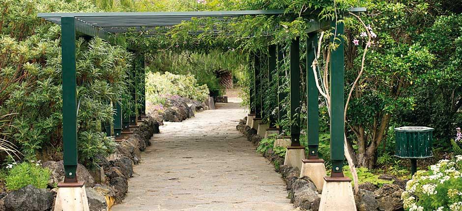 Ogród Botaniczny Viera y Clavijo Muzea i centra turystyczne na Gran Canaria