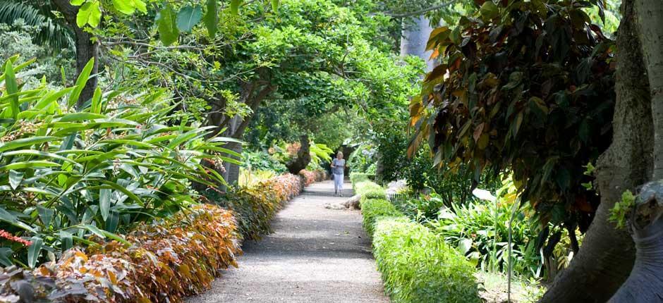 Jardín de Aclimatación de La Orotava Muzea i centra turystyczne na Teneryfie