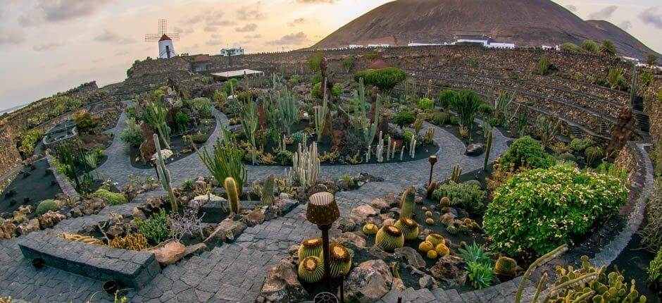 Jardín de Cactus Muzea i centra turystyczne na Lanzarote