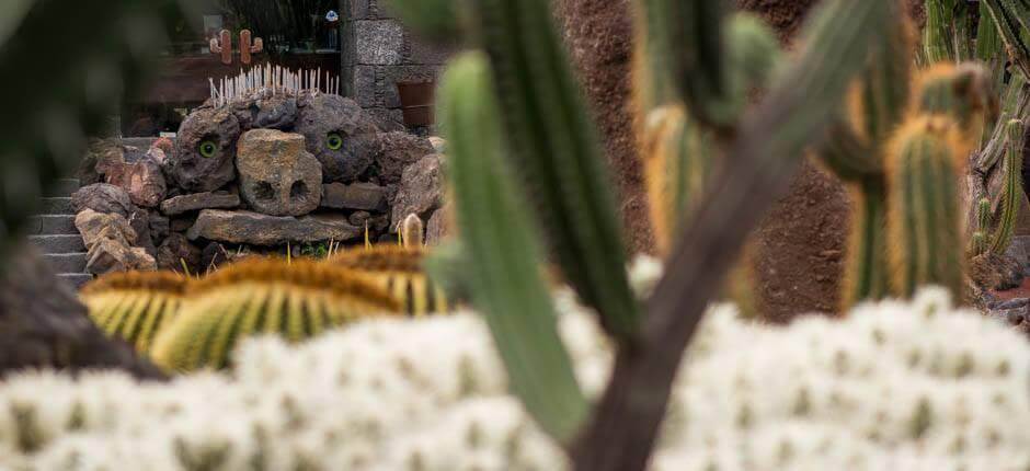 Jardín de Cactus Muzea i centra turystyczne na Lanzarote