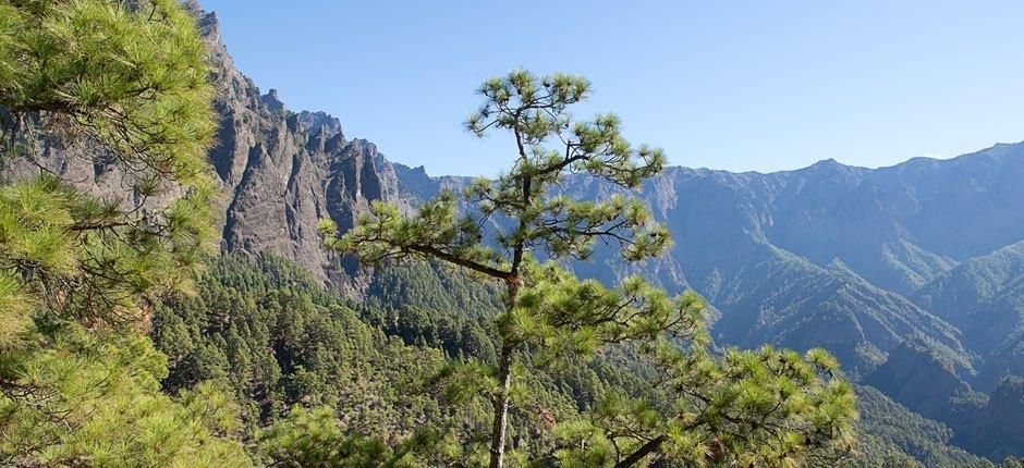 Caldera Taburiente, Szlaki turystyczne na wyspie La Palma