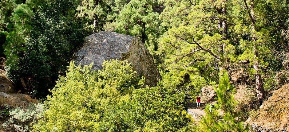 Caldera Taburiente, Szlaki turystyczne na wyspie La Palma