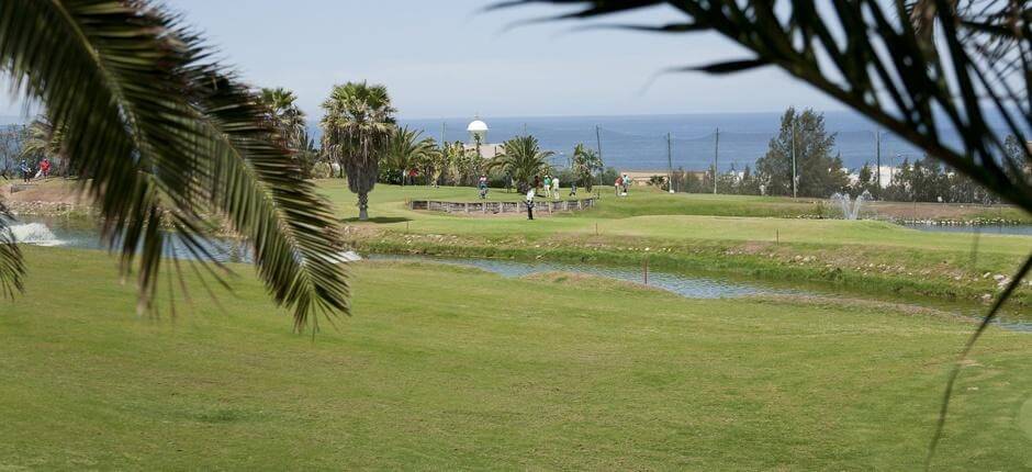 Las palmeras Golf Pola golfowe de Gran Canaria