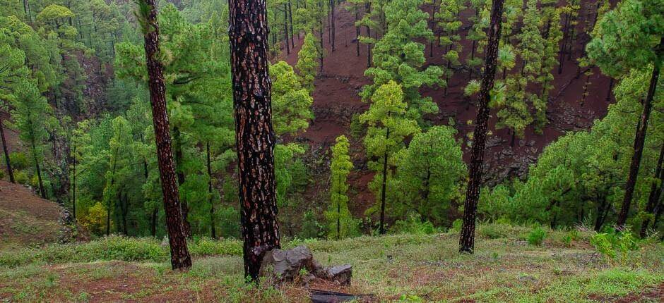 Las Tricias osady na wyspie La Palma