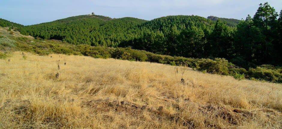 Obserwacja gwiazd w Llanos de Garañón na wyspie Gran Canaria