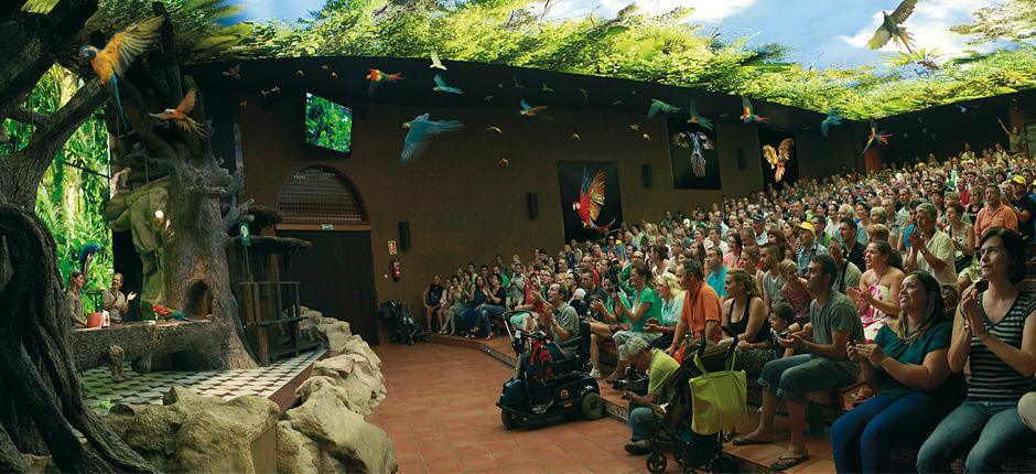 Loro Parque Ogrody zoologiczne na Teneryfie