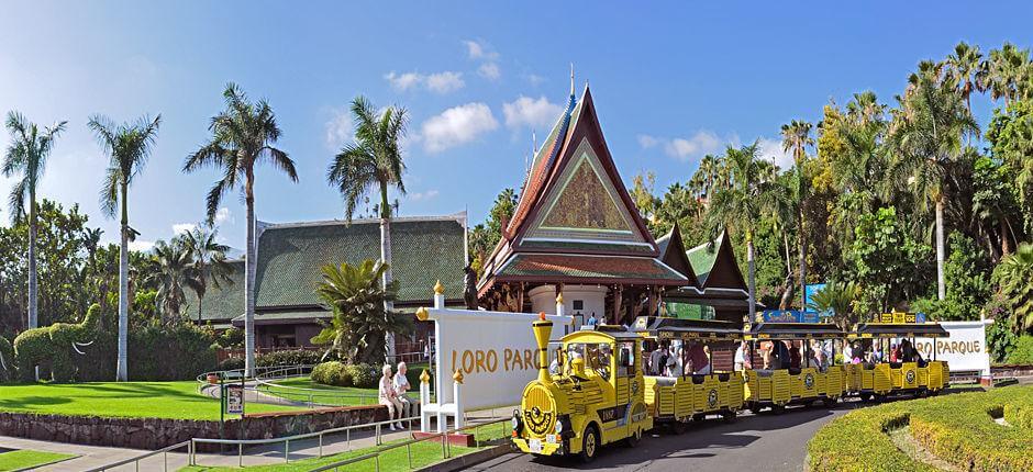 Loro Parque Ogrody zoologiczne na Teneryfie