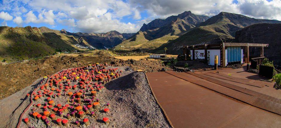 Maipés de Agaete Muzea i centra turystyczne na Gran Canaria