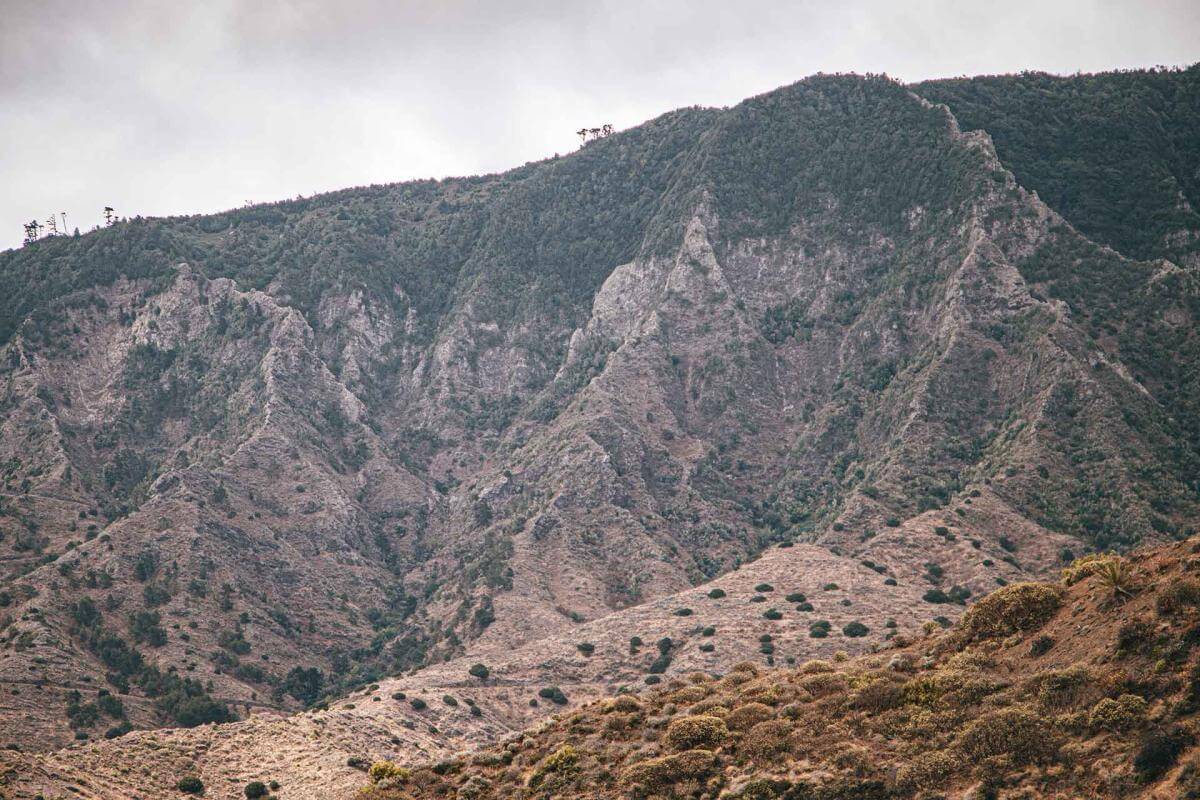 Parque Natural de Majona