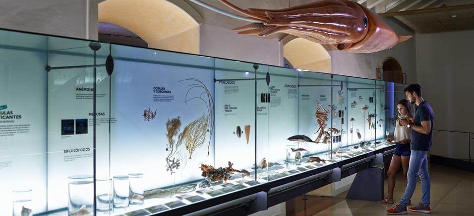 MUNA, Muzeum Przyrody i Archeologii (Museo de la Naturaleza y Arqueología)