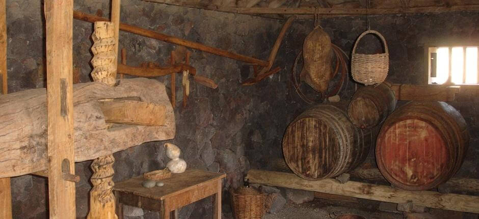 Muzeum Wina wyspy La Palma, Winnice na wyspie La Palma