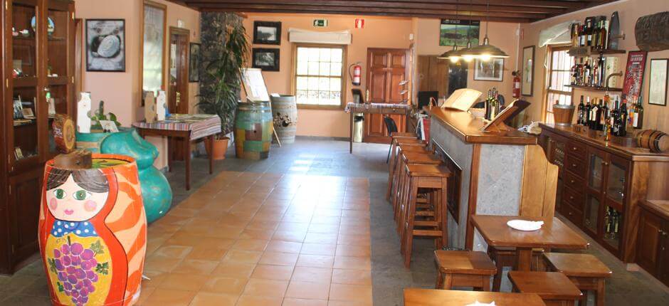 Muzeum Wina wyspy La Palma, Winnice na wyspie La Palma
