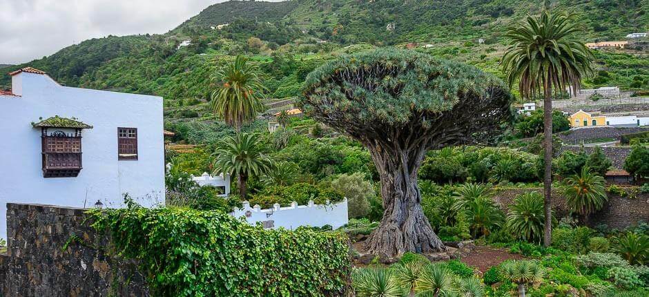 Park Tysiącletniej Draceny, Muzea i centra turystyczne na wyspie Teneryfa
