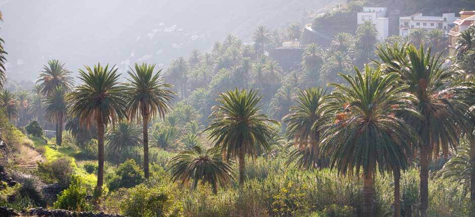 Parque Rural de Valle Gran Rey Espacios naturales de La Gomera