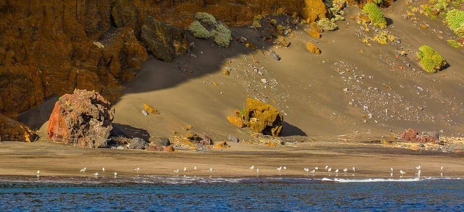Plaża de Antequera + Dziewicze plaże na Teneryfie