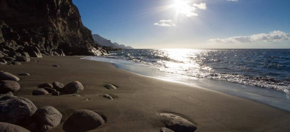 Plaża Guayedra + Dziewicze plaże na Gran Canarii