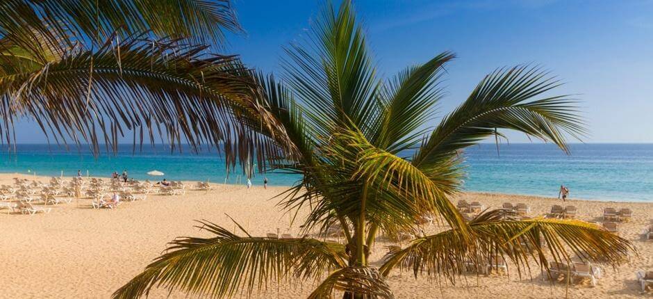 Plaża Morro Jable Popularne plaże na Fuerteventura