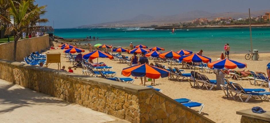 Plaża El Castillo Popularne plaże na Fuerteventura