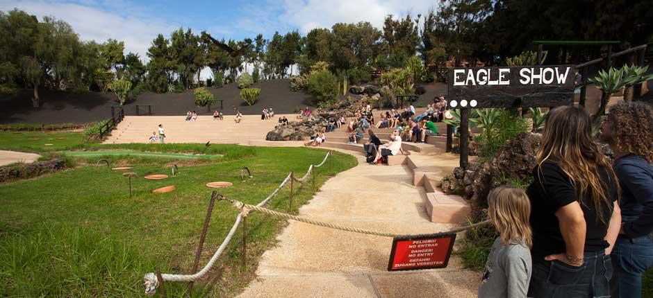 Rancho Texas Lanzarote Ogrody zoologiczne na Lanzarote