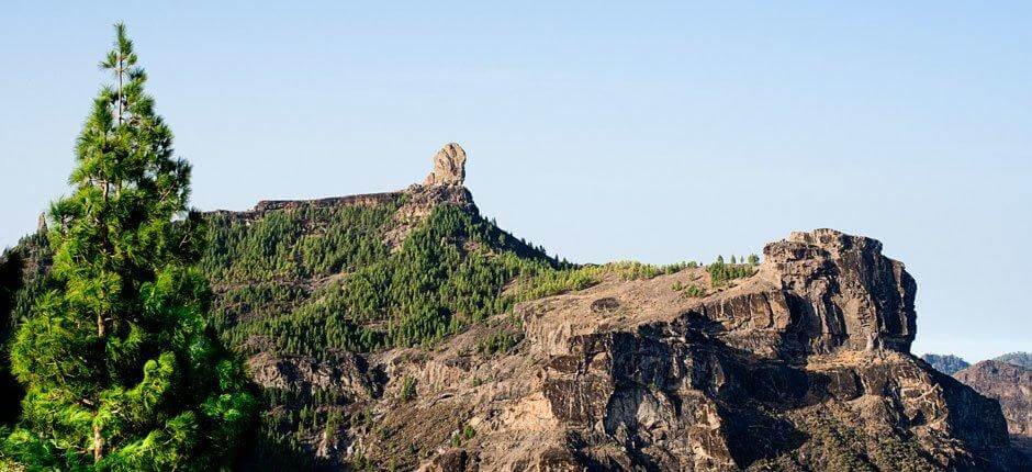 Roque Nublo + Szlaki na Gran Canaria