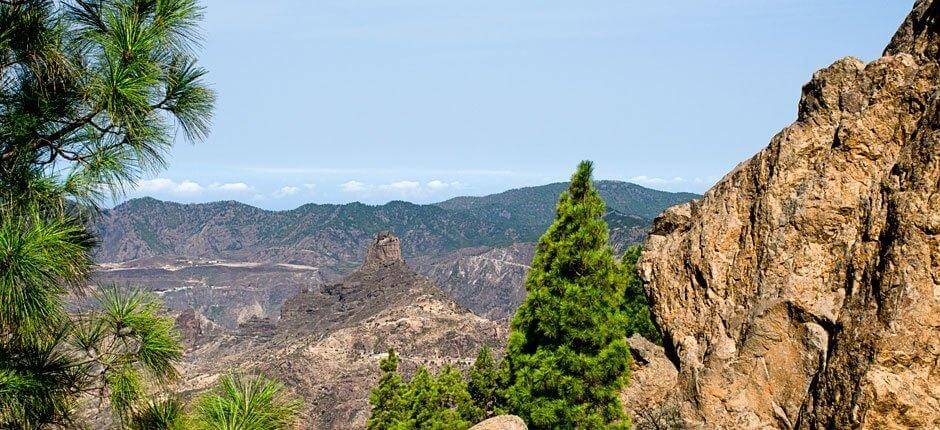 Roque Nublo + Szlaki na Gran Canaria